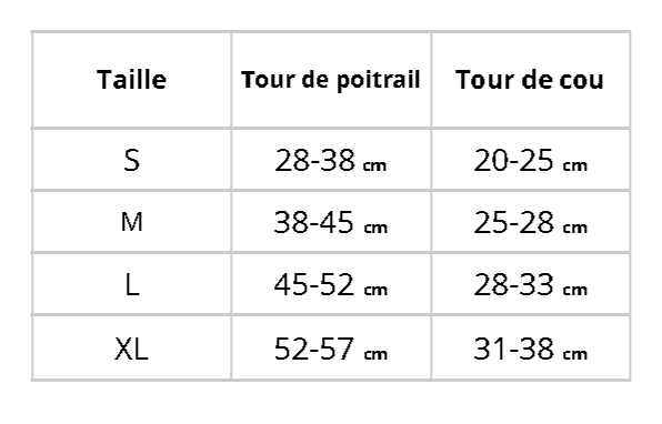 Déguisement
