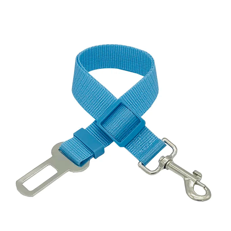Ceinture de sécurité