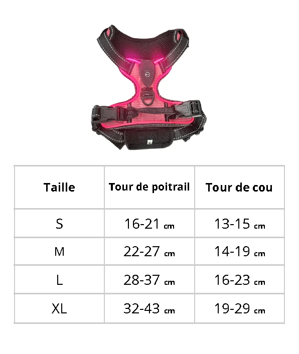 Harnais lumineux