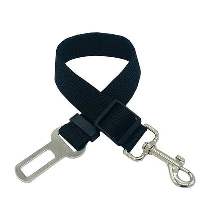 Ceinture de sécurité