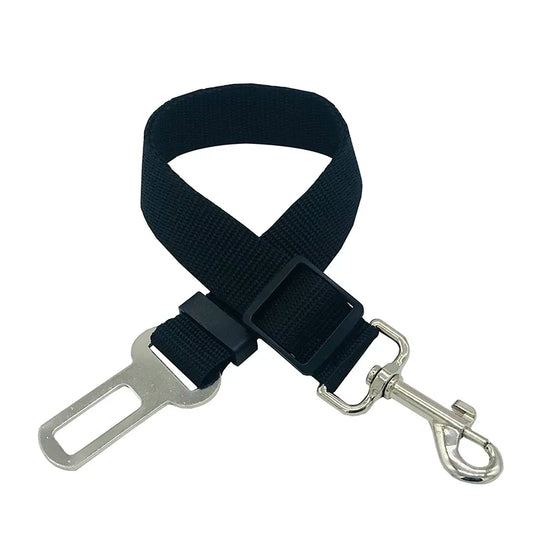 Ceinture de sécurité
