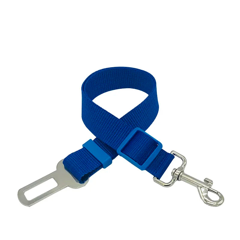Ceinture de sécurité