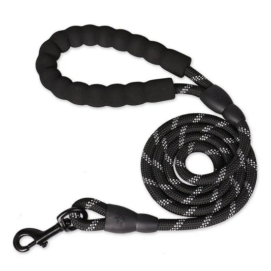 Leash