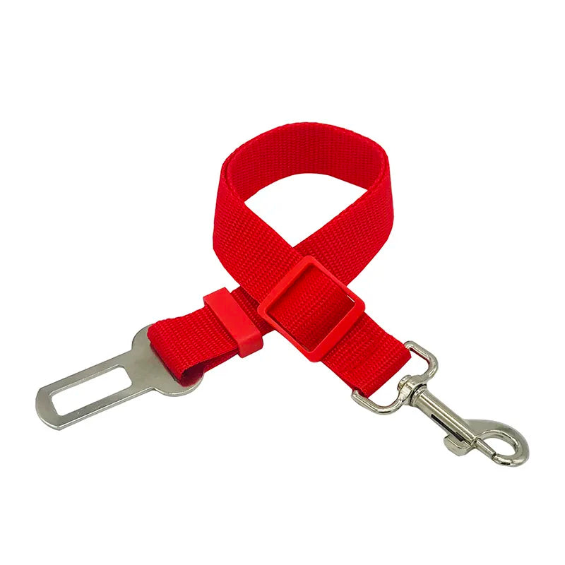 Ceinture de sécurité