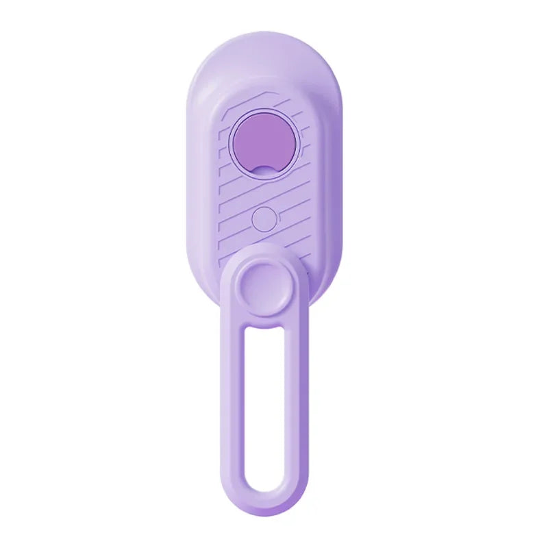 Brosse à vapeur électrique