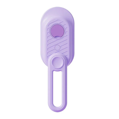 Brosse à vapeur électrique