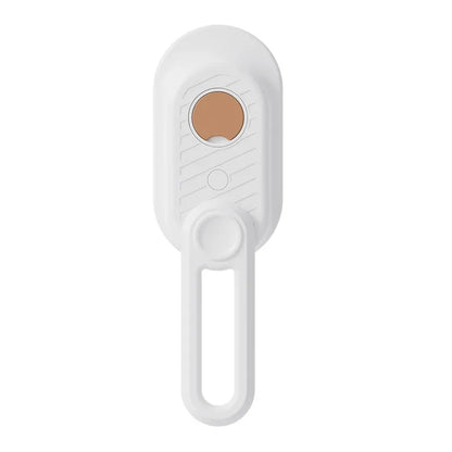Brosse à vapeur électrique
