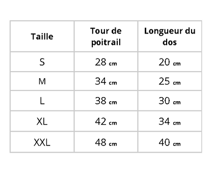 Veste polaire