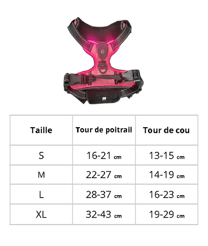 Harnais lumineux