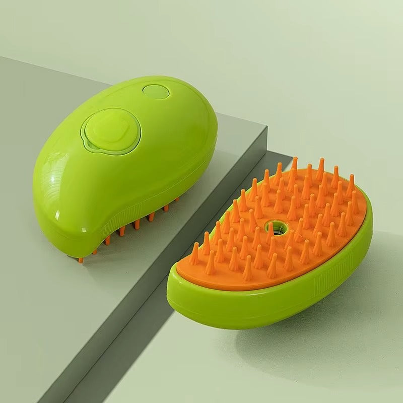 Brosse à vapeur électrique