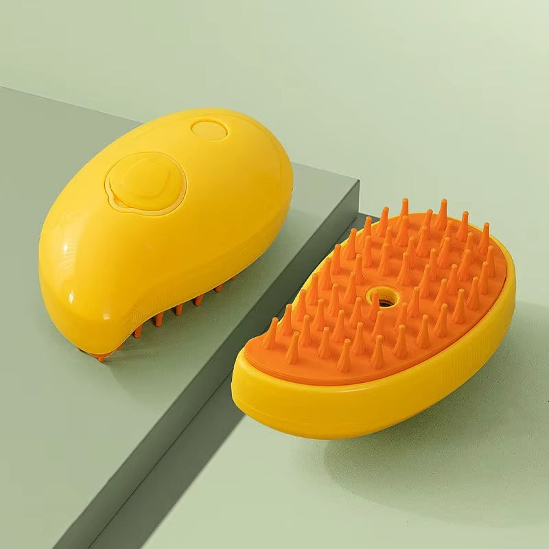 Brosse à vapeur électrique